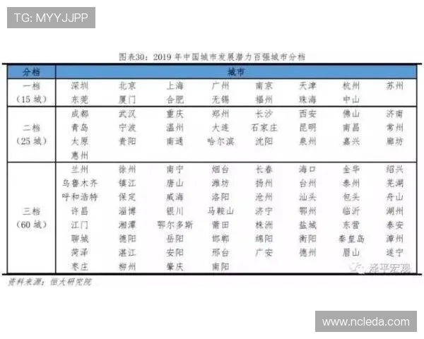 北京排球队在杯赛中的实力展现与未来发展潜力分析