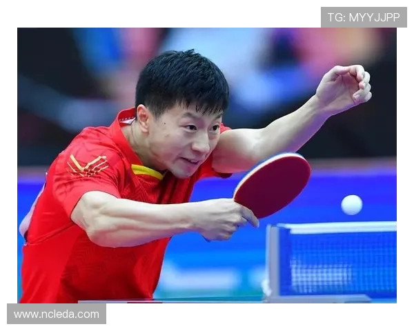 南京乒乓球队在世锦赛中的技术表现分析与评价