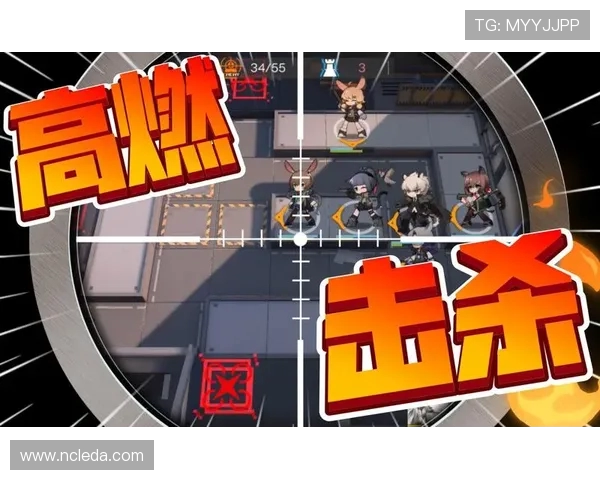 深入分析杭州排球队的阵地战战术与技术特点