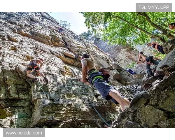 西安极限运动队在攀岩联赛中以68分稳居积分榜首位