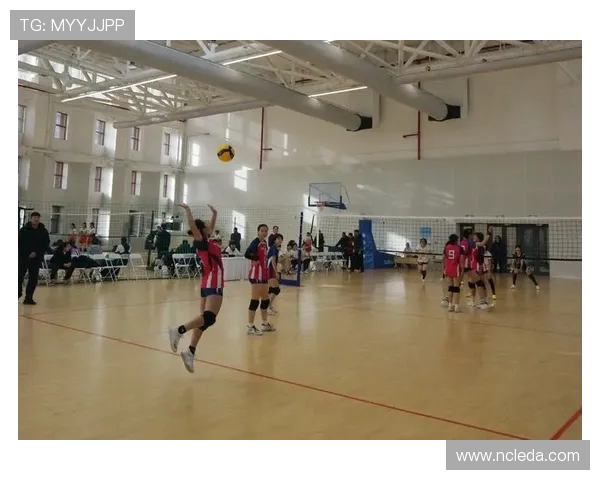 西安排球队意识探讨：排球战术与团队协作的深度分析