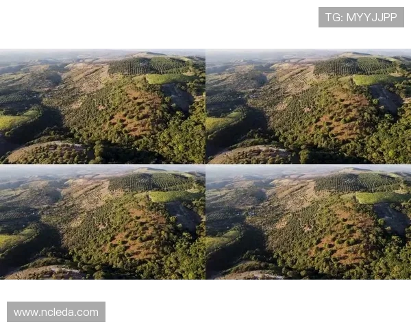 墨西哥美洲与特皮克的精彩对决分析与赛季展望